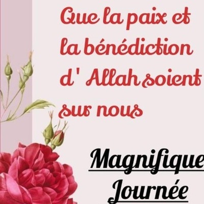 <span class="user_name">Rabia Diouf</span><img data-bs-toggle="tooltip" title="Vérifié" src="https://coalition-jub-jubal-jubanti.com/application/modules/User/externals/images/verify-icon.png" alt="" class="verified_icon" width="14px">